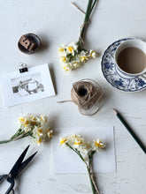 Load image into Gallery viewer, Little Life Stories Membership | How to Write My Life Story
